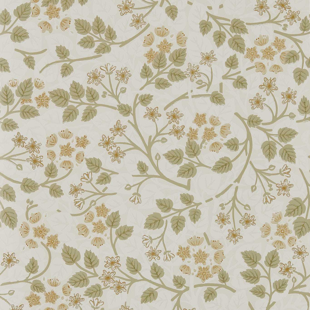 The Stumpery Lichen | Sanderson detail 2