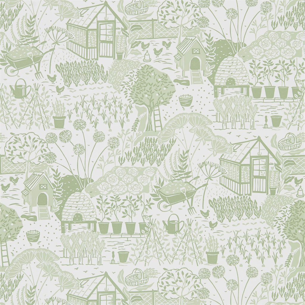 The Allotment Fennel | Sanderson