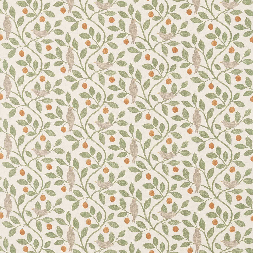 The Allotment Fennel | Sanderson detail 1