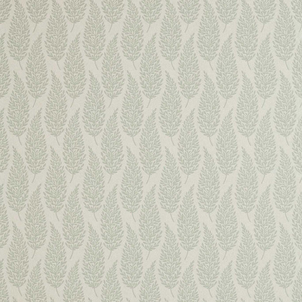Elm Fennel | Sanderson