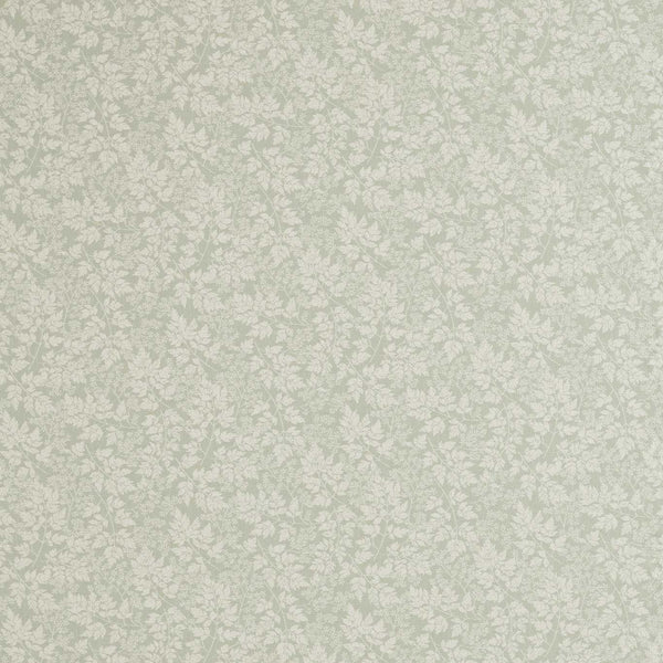 Spring Leaves Fennel | Sanderson