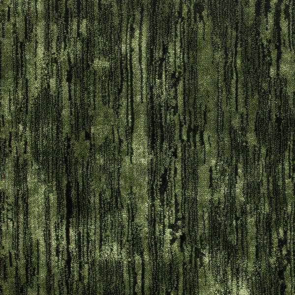 Icaria Evergreen | Sanderson