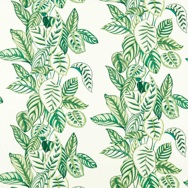 Calathea Botanical Green | Sanderson