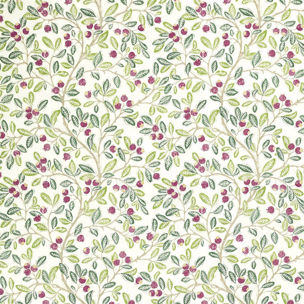 Wild Berries Fern/Mulberry | Sanderson