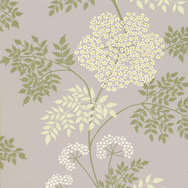 Cowparsley Amethyst | Sanderson