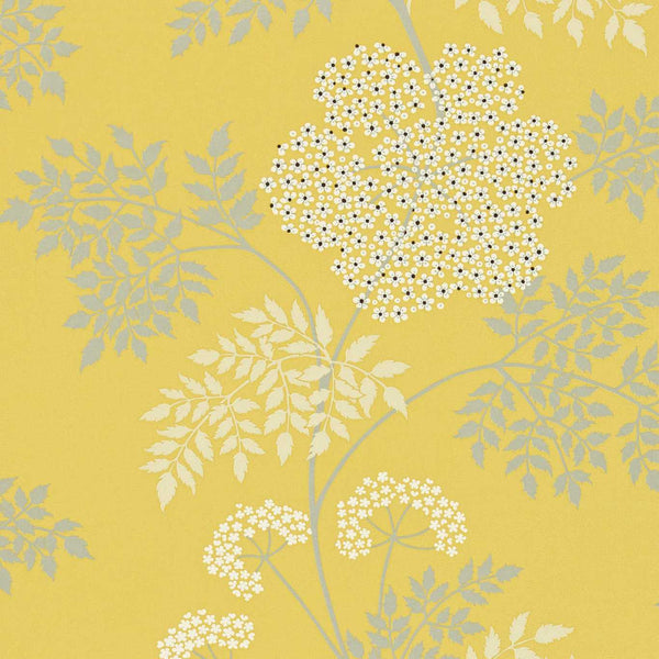 Cowparsley Chinese Yellow | Sanderson