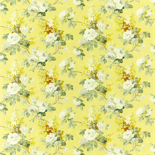 Sorilla Mimosa | Sanderson