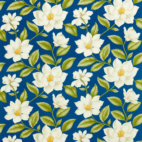 Grandiflora Bright Blue | Sanderson