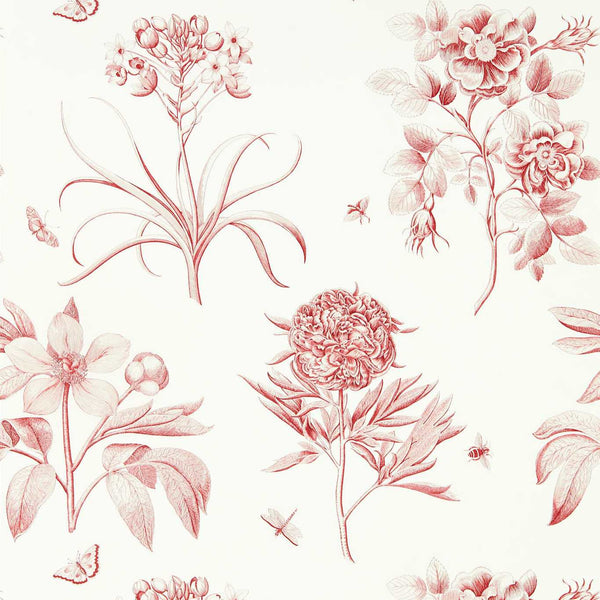 Etchings & Roses Amanpuri Red | Sanderson