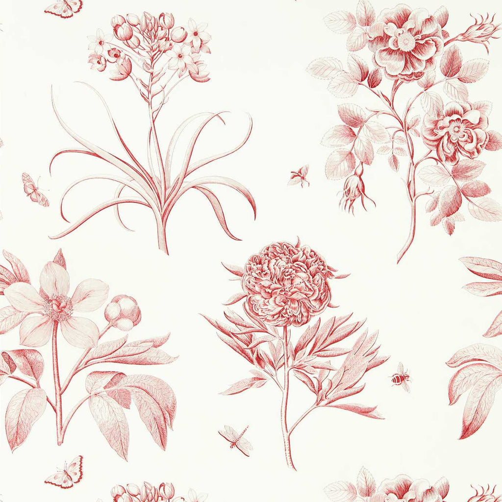 Etchings &amp;Amp; Roses