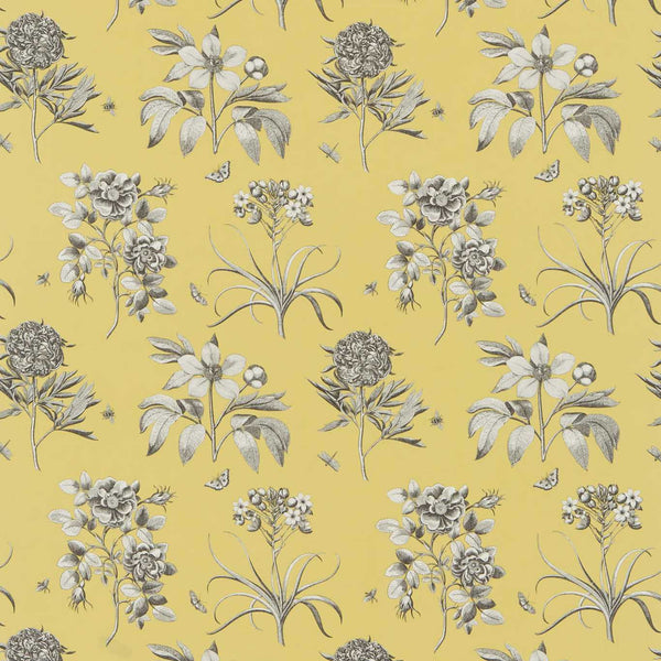 Etchings & Roses Empire Yellow | Sanderson