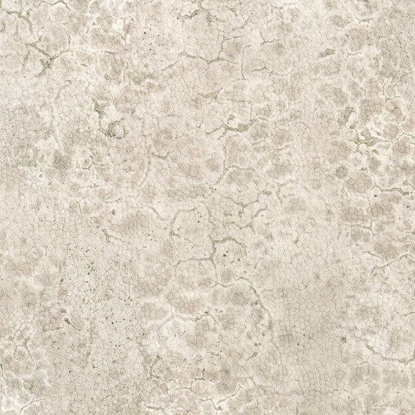 Moon wallcovering | Nobilis