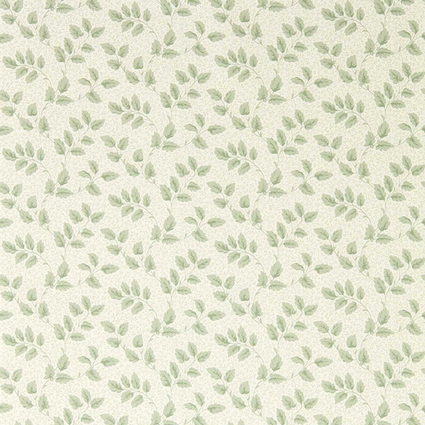 Tomato Leaf Willow | Sanderson