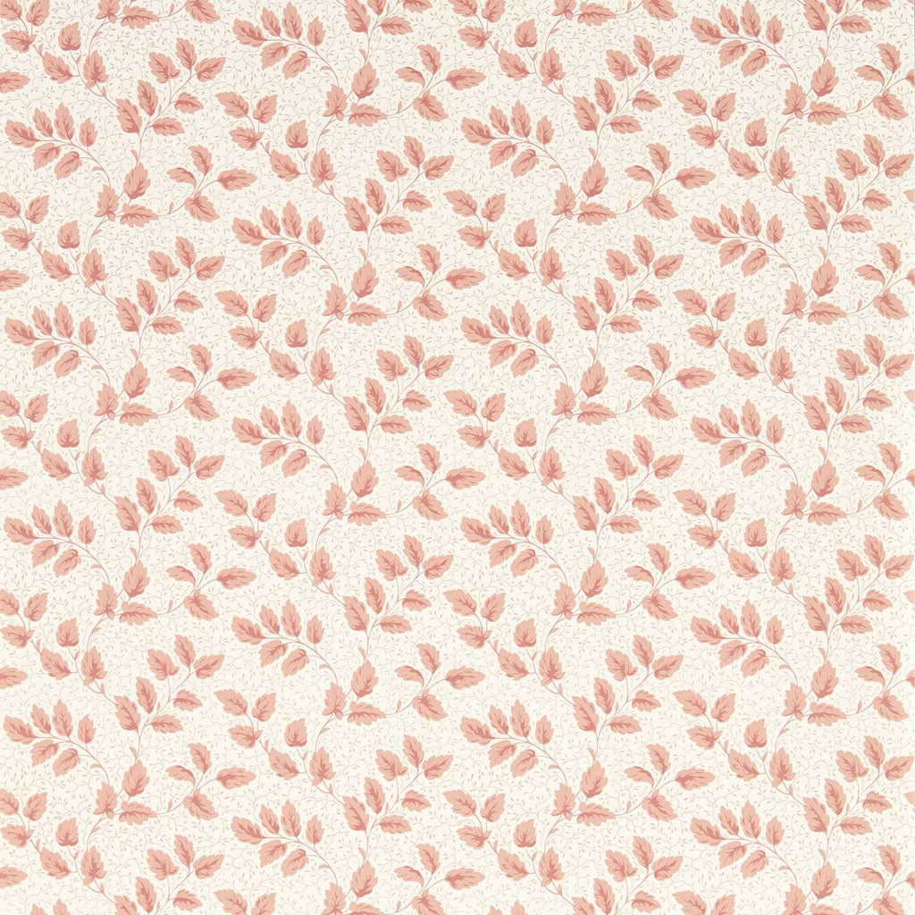 Rye Wedgwood | Sanderson detail 1