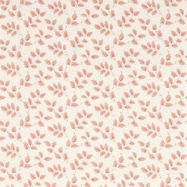 Tomato Leaf Pink Clay | Sanderson