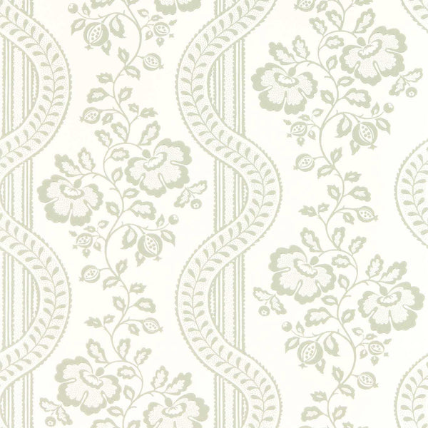 Aubrey Lambs Ear | Sanderson