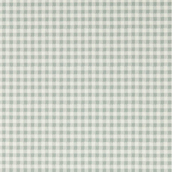Gingham Duck Blue | Sanderson