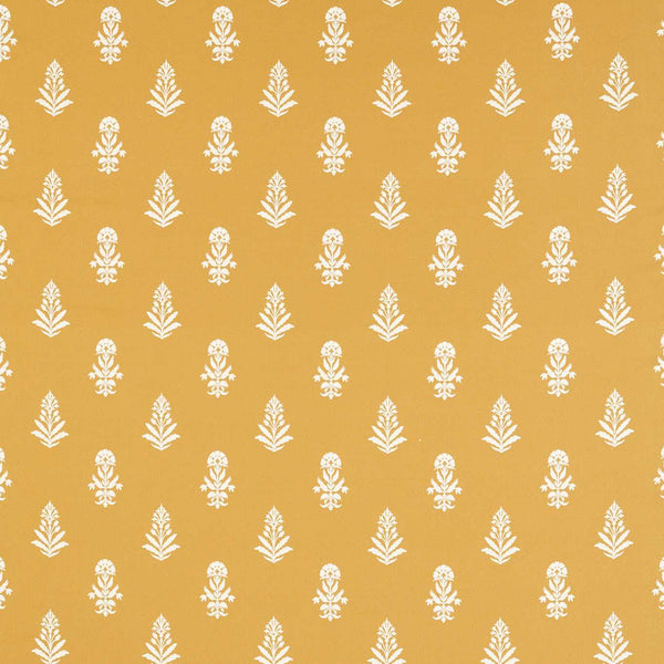 Dabu Tumeric | Sanderson