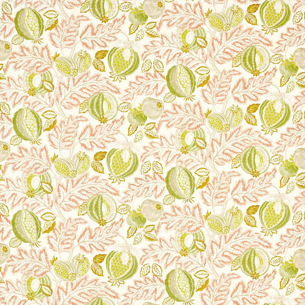 Cantaloupe Matcha/Conch | Sanderson