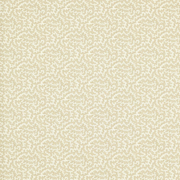 Truffle Sand Dollar | Sanderson