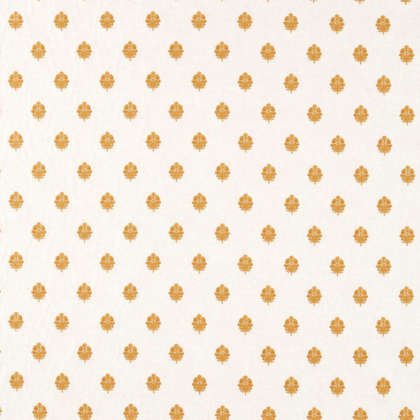 Lavanga Turmeric | Sanderson