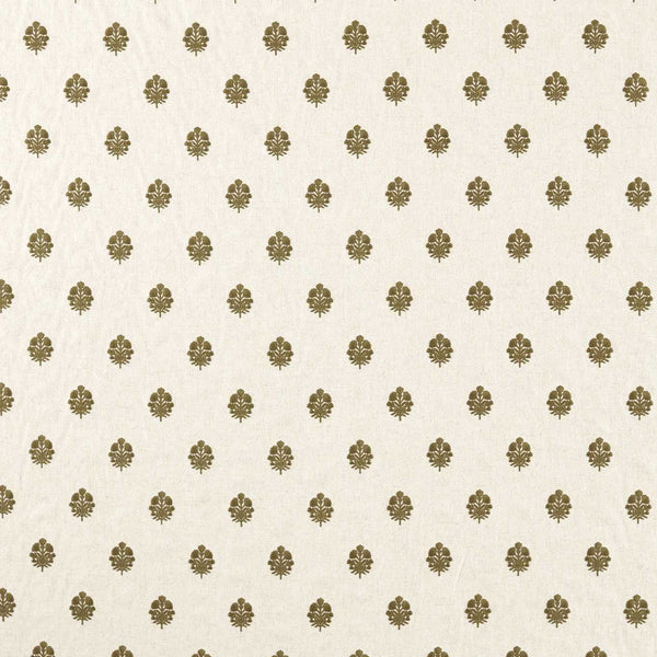 Lavanga Avocado | Sanderson