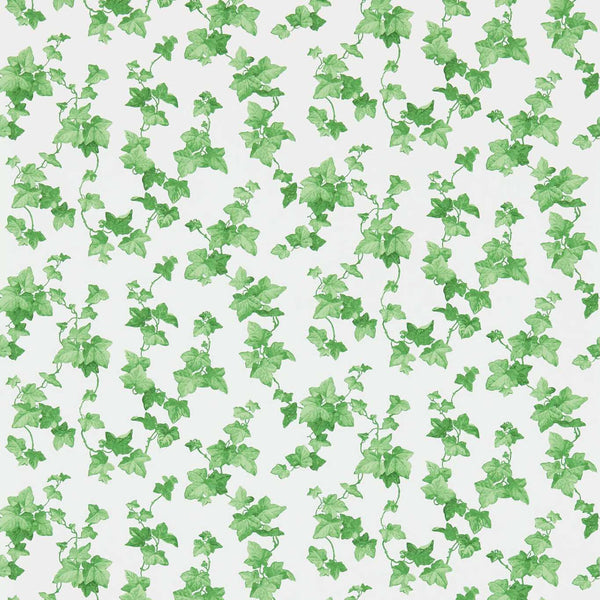 Hedera Green | Sanderson