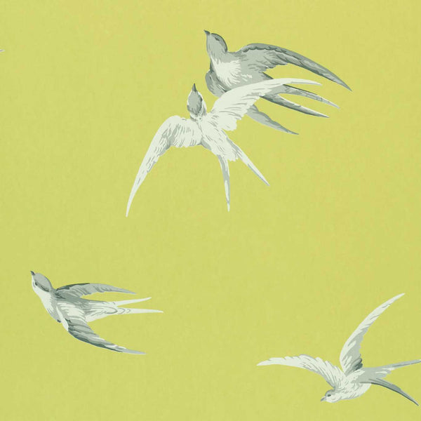 Swallows Lime | Sanderson