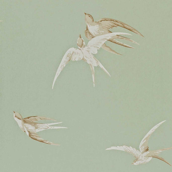 Swallows Pebble | Sanderson