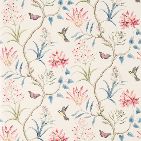 Clementine Indienne | Sanderson