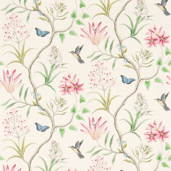 Adele Raspberry/Ivory | Sanderson