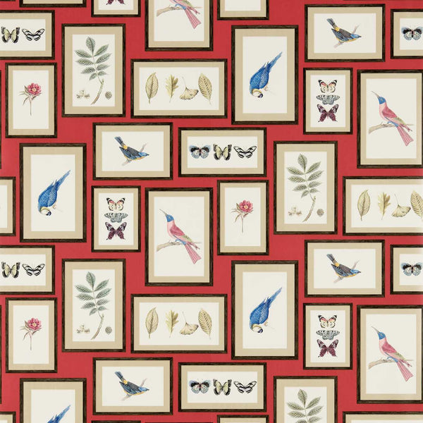 Picture Gallery Red/Multi | Sanderson