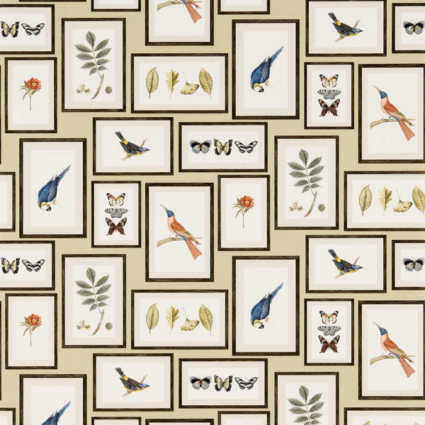 Picture Gallery Sand/Multi | Sanderson