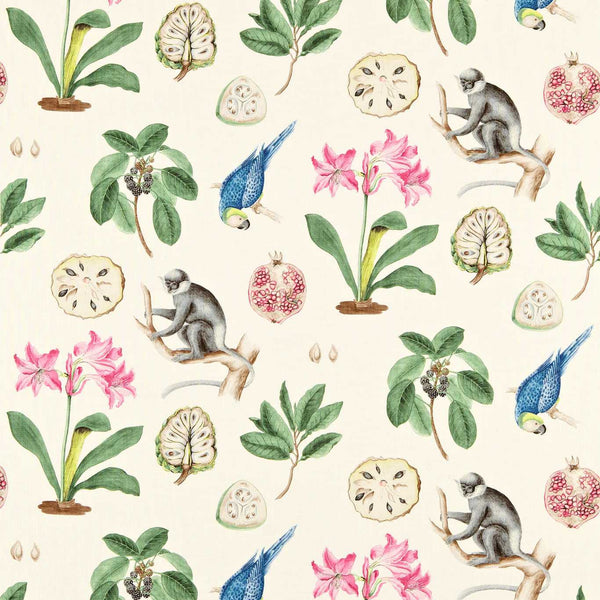 Capuchins Chintz | Sanderson
