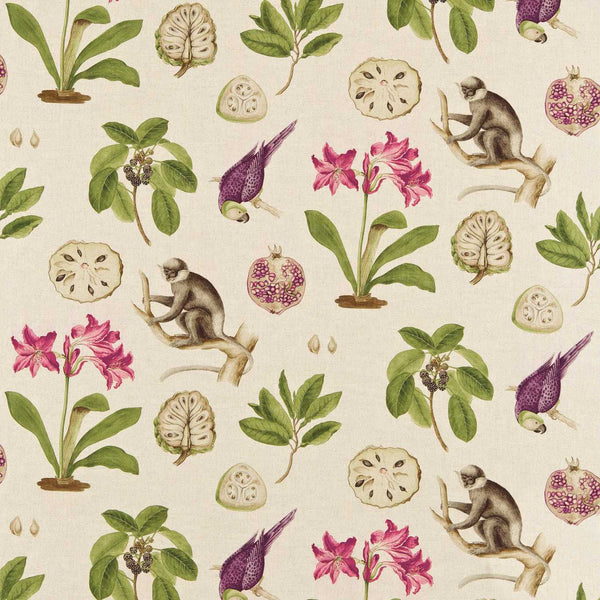 Capuchins Boysenberry | Sanderson