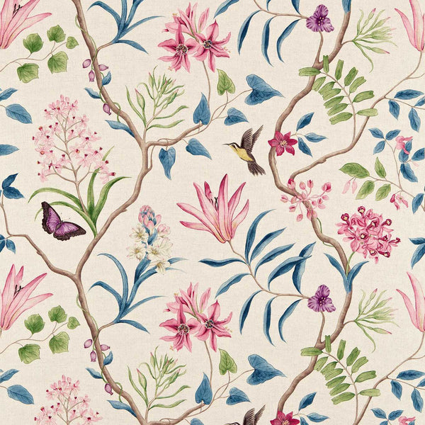 Clementine Indienne | Sanderson