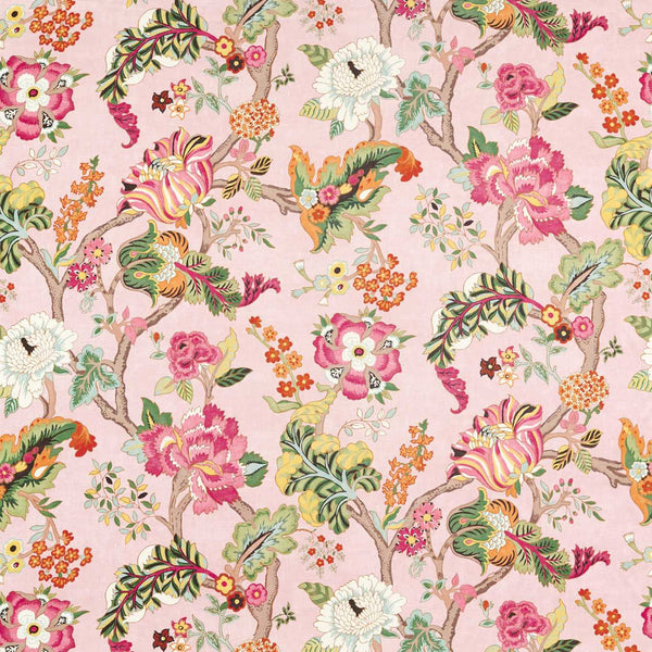 Fusang Tree Peach Blossom | Sanderson