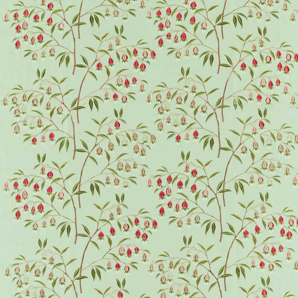 Chinese Lantern Mint & Apricot | Sanderson