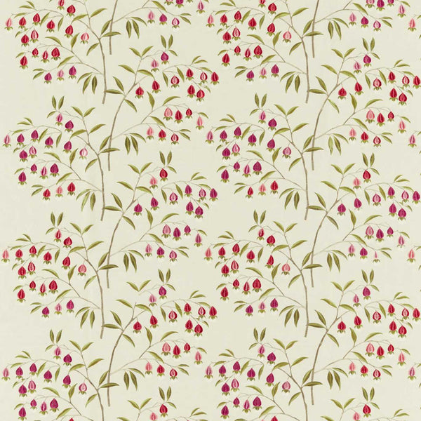 Chinese Lantern Wild Plum | Sanderson
