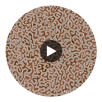 JAVA-RUST Circular Swatch | Franquemont London