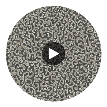 JAVA-GRAPHITE Circular Swatch | Franquemont London