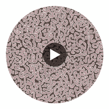 JAVA-BLUSH Circular Swatch | Franquemont London