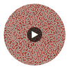 JAVA-BURNT-ORANGE Circular Swatch | Franquemont London