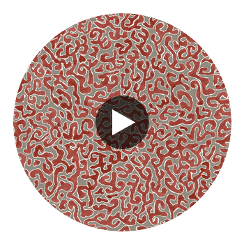 JAVA-BURNT-ORANGE Circular Swatch | Franquemont London