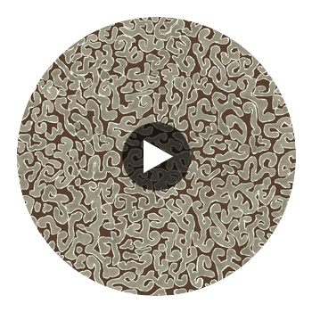 JAVA-OLIVE Circular Swatch | Franquemont London