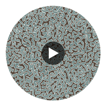 JAVA-ARCTIC Circular Swatch | Franquemont London