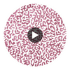 JAVA-MAGENTA-BLUSH Circular Swatch | Franquemont London