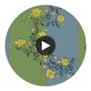 VINE-BLOTS-ARTICHOKE-DUSTY-BLUE Circular Swatch | Franquemont London