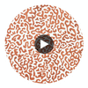 JAVA-GLOWING-EMBER Circular Swatch | Franquemont London