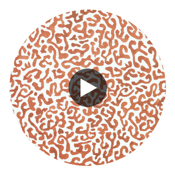 JAVA-GLOWING-EMBER Circular Swatch | Franquemont London